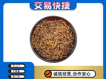 宝坻区回收散虫草